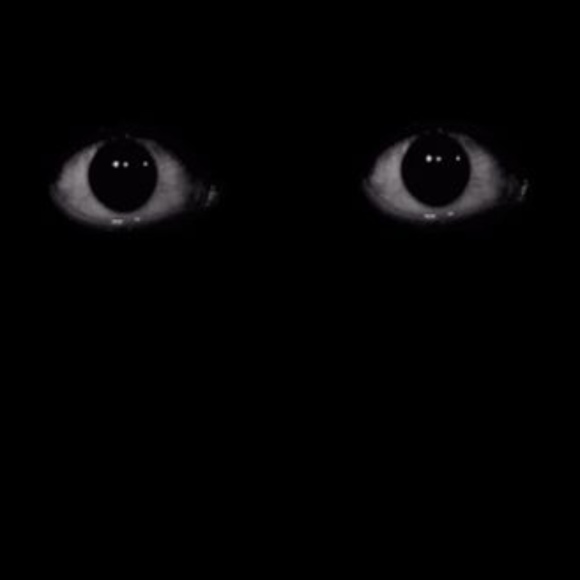 Meet your Posher, Rat - Picture 1 of 1